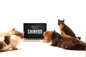 帅气喵咪组合模仿SHINee！真是帅的不要不要滴！图片