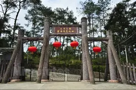 清政府其实早已认识到了太平军的厉害与危害（太平天国十四年）图片
