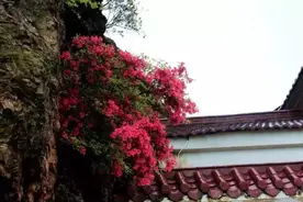 她“刷新”了铜陵高度——美丽的三公山图片