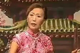 少侠包公案 河南坠子图片