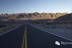 自驾美国17天，通往自由的路上有勇敢相伴图片