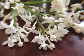 师生的缘分图片