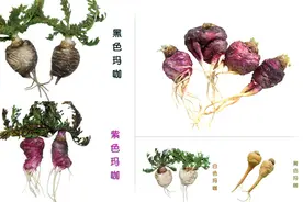 玛咖为夏天总是疲惫的状态补补精图片