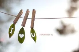 昨天，我在你楼下图片