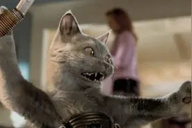 猫狗世纪大战，笑死人不偿命！狗真的被打得太怂了...图片