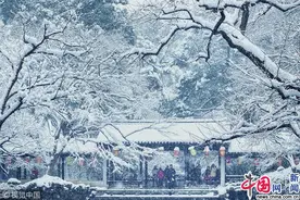 江苏无锡：雪中寄畅园银装素裹美如画图片
