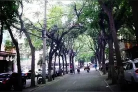 碑林记忆｜小南门图片