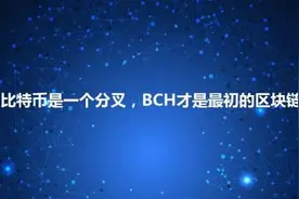 比特币是一个分叉，BCH才是最初的区块链图片