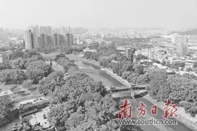 2018年龙岗如何攻坚？图片