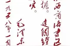 核桃的故事（28）——商洛的核桃产业图片