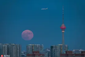2017唯一超级月亮登场 系近80年第八大满月图片