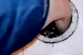 二货猫咪跑到排气管里去了，吓的发抖还要主人来救！视频封面