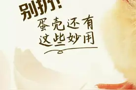 生活圈丨别扔！蛋壳还有这些逆天妙用图片