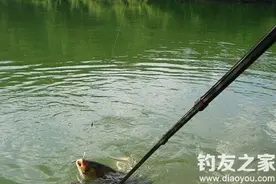水库手竿钓鱼的钓位、饵料、钓具搭配技巧图片