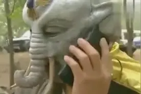 《西游记》大白象打电话：喂，张丰毅呀！那场景顿时笑喷了！视频封面