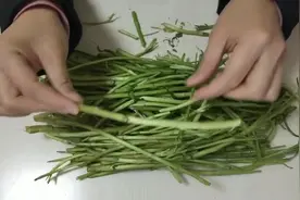 藜蒿多吃有益无害，最重要的是润泽皮肤哦！视频封面