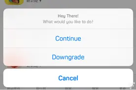 通过插件，ios能让APP降级了 转自wp7吧图片