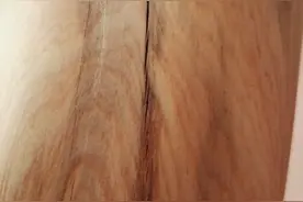 急！打磨的崖柏手把件，慢慢开裂了怎么办啊？图片