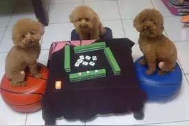 打麻将三缺一，你来不来？我们等你很久了图片