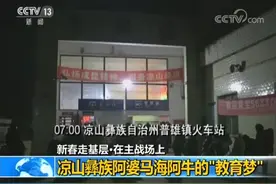 新春走基层丨彝族三兄弟毕业后回乡扶贫 乡亲生活改变看得见图片