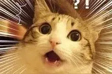 学起来！亲戚称呼全攻略，春节回家不尴尬！图片