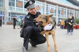 （新春走基层）（7）警犬“龙牙”的大年初一图片
