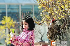 梅好新年！郑州碧沙岗、紫荆山梅花展开幕 持续到3月初图片