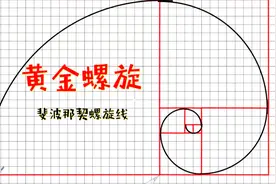 数学家这样处理斐波那契数列，得到最美曲线—“黄金螺旋”视频封面
