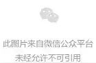 被土耳其扣押的荷兰土耳其裔女记者返回荷兰图片