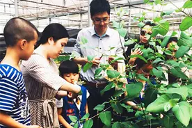体验植物“克隆术” 省植物园6大科普活动邀你参加图片