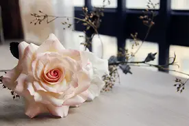 甜点里的秘密花园图片