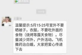 飞机喷药真相是什么？枣庄林业局这样解释图片