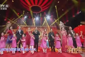 央4小春晚 | 四套主播齐聚 一首《过大年》热热闹闹贺新年视频封面