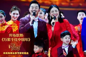 央视春晚演员阵容新意十足 家国情满溢幸福感图片