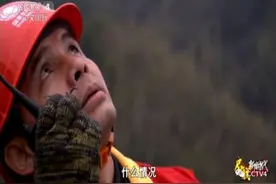 爬山、登塔、走钢丝 围观电网高空守护者的特殊技能！图片