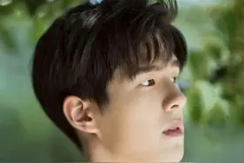 刘昊然被称为娱乐圈的钢铁直男？铜墙铁壁白敬亭表示不服！图片