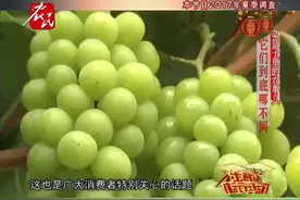 葡萄是无籽好还是有籽好，无籽葡萄是不是打激素了？视频封面