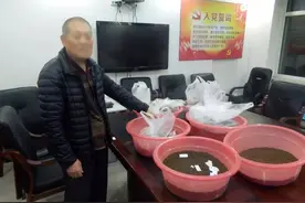 「平安春节」端掉制贩假药窝点 去除“毒瘤”群众称快图片
