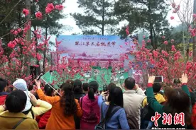 广西环江县桃花绽放姹紫嫣红 万人踏春赏花图片
