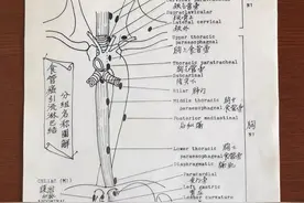 「医学人文」医学大家画笔下蕴藏着的抗癌力量图片