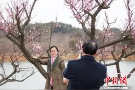 “果梅”到“花梅”再到“香梅” 长兴万亩红梅报春来图片