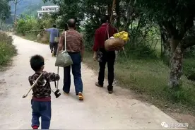 浦北即将消失的技艺——手工榨茶油图片