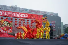 金华百姓龙舞大赛开赛 12支舞龙队人民广场闹元宵图片