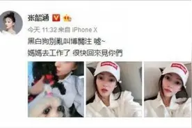 张韶涵暗讽范玮琪夫妇？妹妹回应：只是心疼狗狗图片