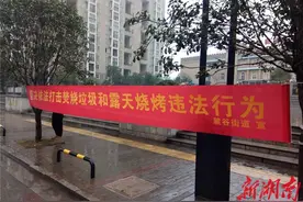 麓谷街道：打好蓝天保卫战 消除群众“心肺之患”图片
