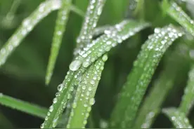 校园消防｜春季校园防火知识图片