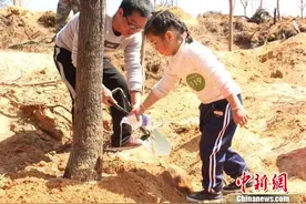 为大山披绿装 福建晋江“亲子”义务植树图片