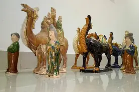 这个展览很特别 蚕和蚕蛾当主角图片
