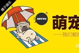 美国喵星人爱上用吸尘器洗澡！图片