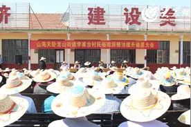 王洪彩：李家台将按照省级民俗村标准进行改造提升图片